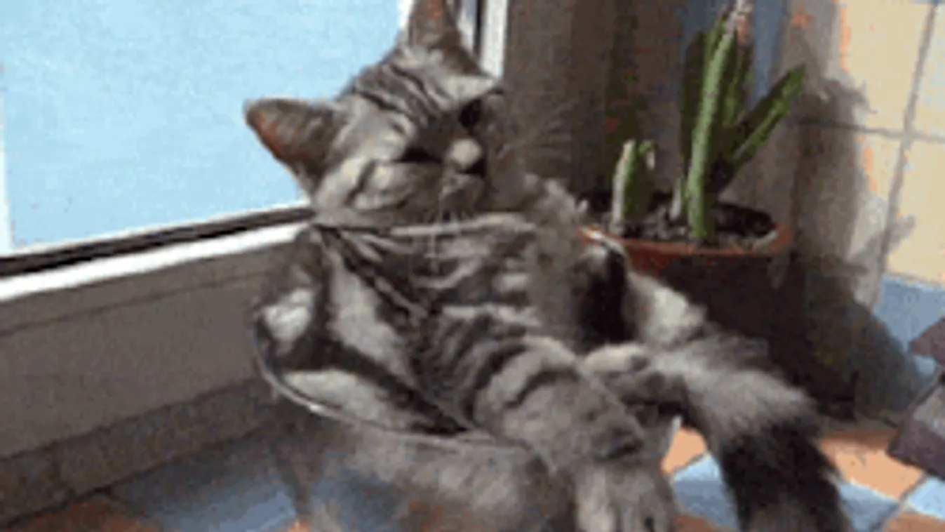 Esővel tör be hazánkba a hidegfront, ebben nem lesz köszönet