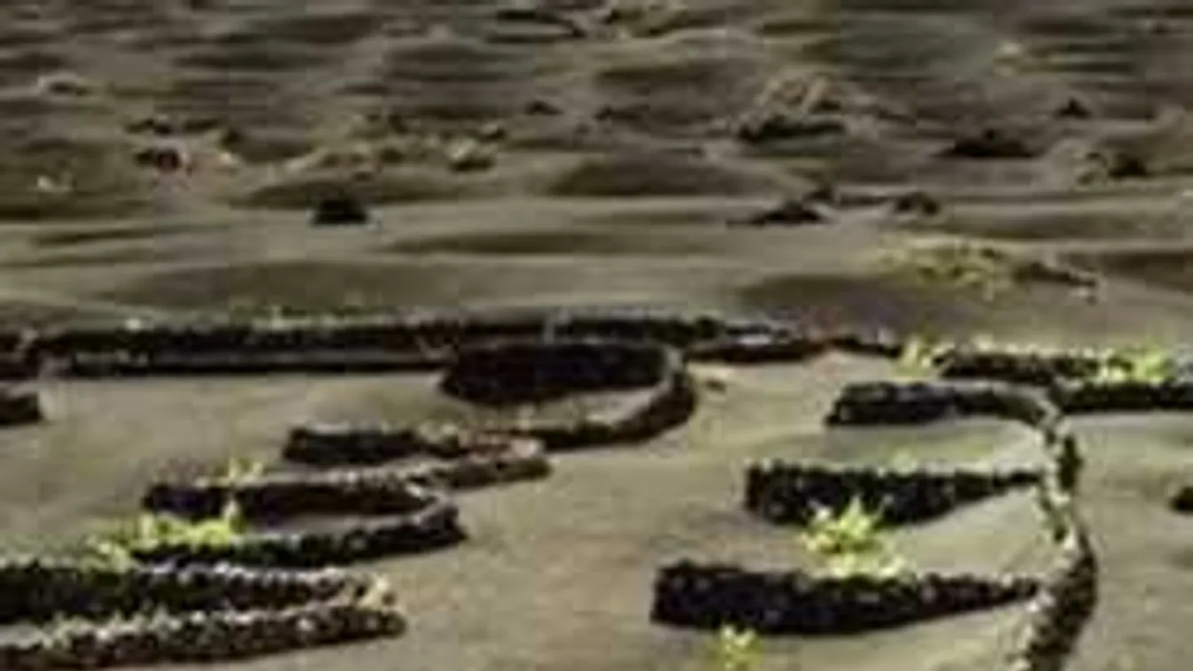 Találd meg a meztelen nőt a képen - ha sikerül, sasszemed van!