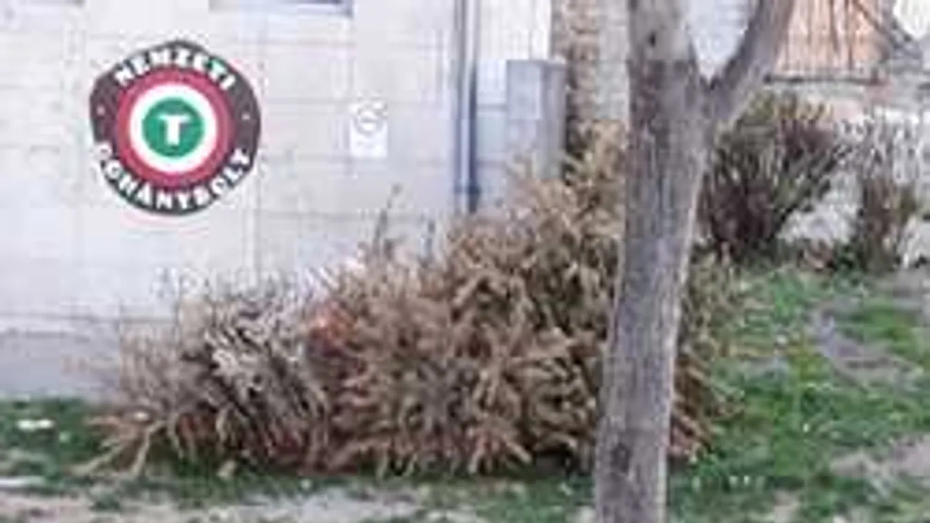 Õrület, mit dobtak ki egy emeleti lakásból Budapesten