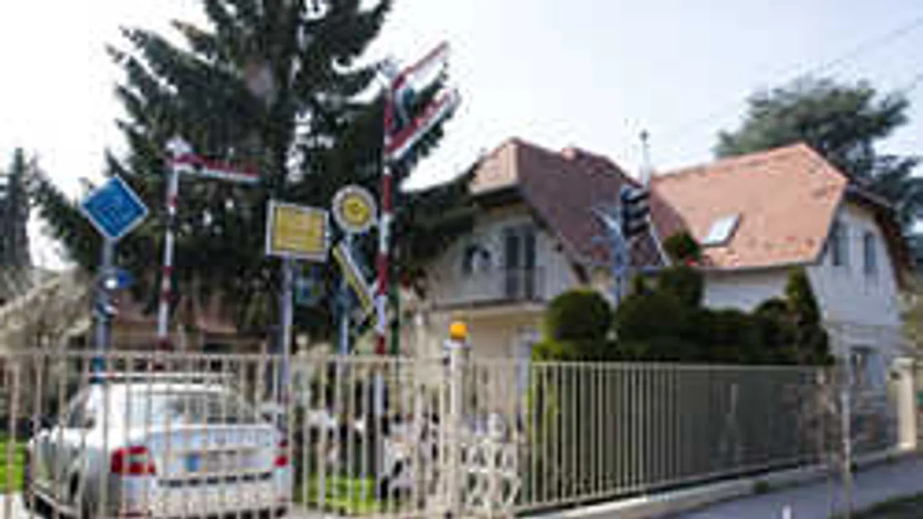 Durva, mit gyűjtenek egy sashalmi családi ház kertjében