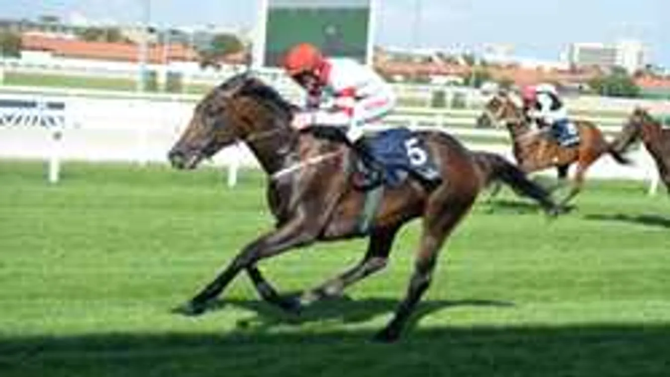 Kincsem és Overdose után újra magyar lovat csodál Európa