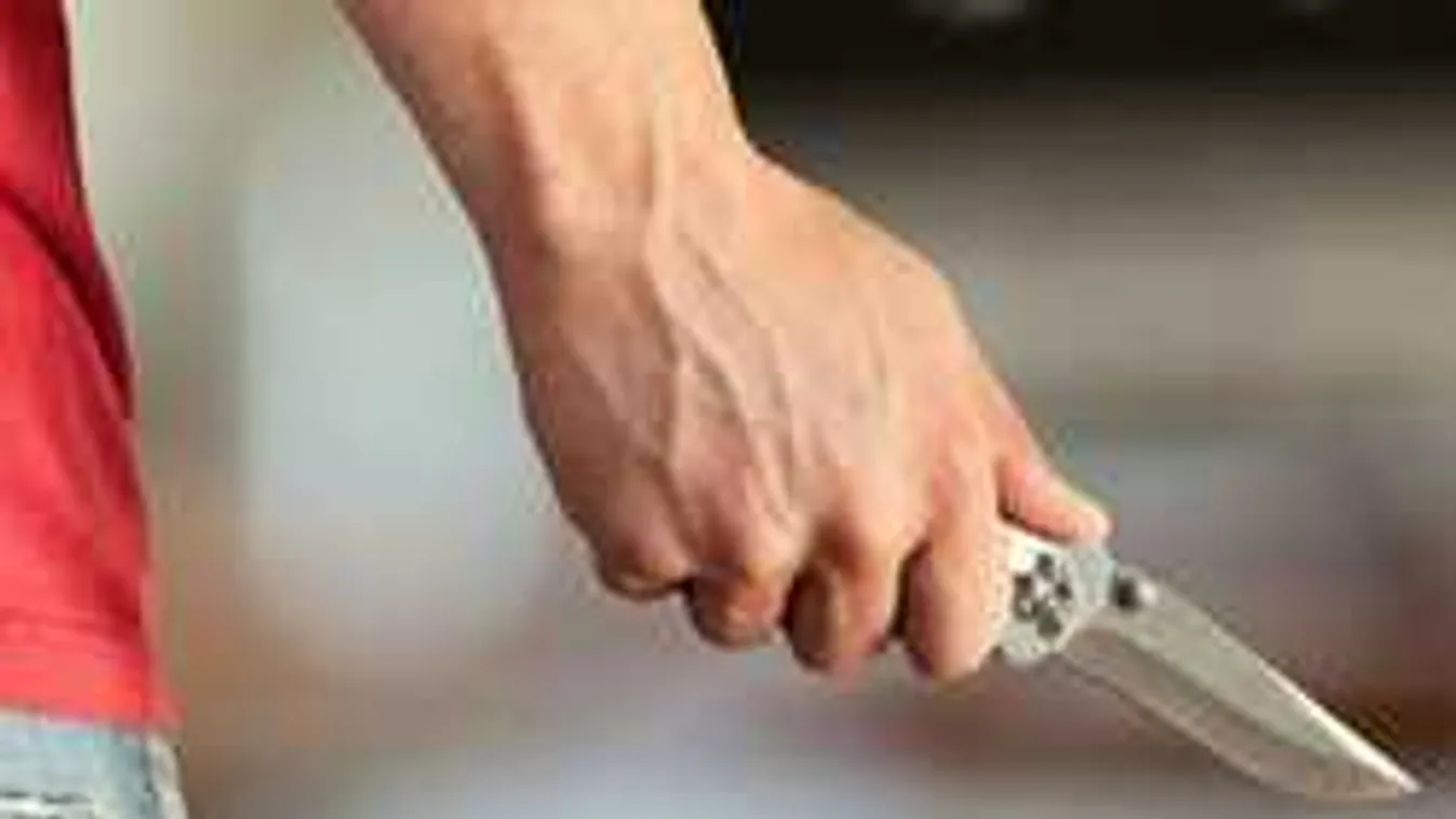 Átvágta gondozottja torkát a migráns