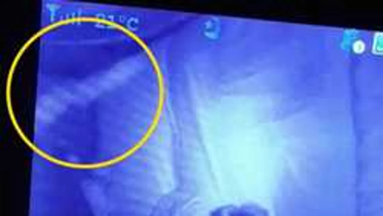 Sokkot kapott az anyuka: Ez tűnt fel a gyerekfigyelő monitoron