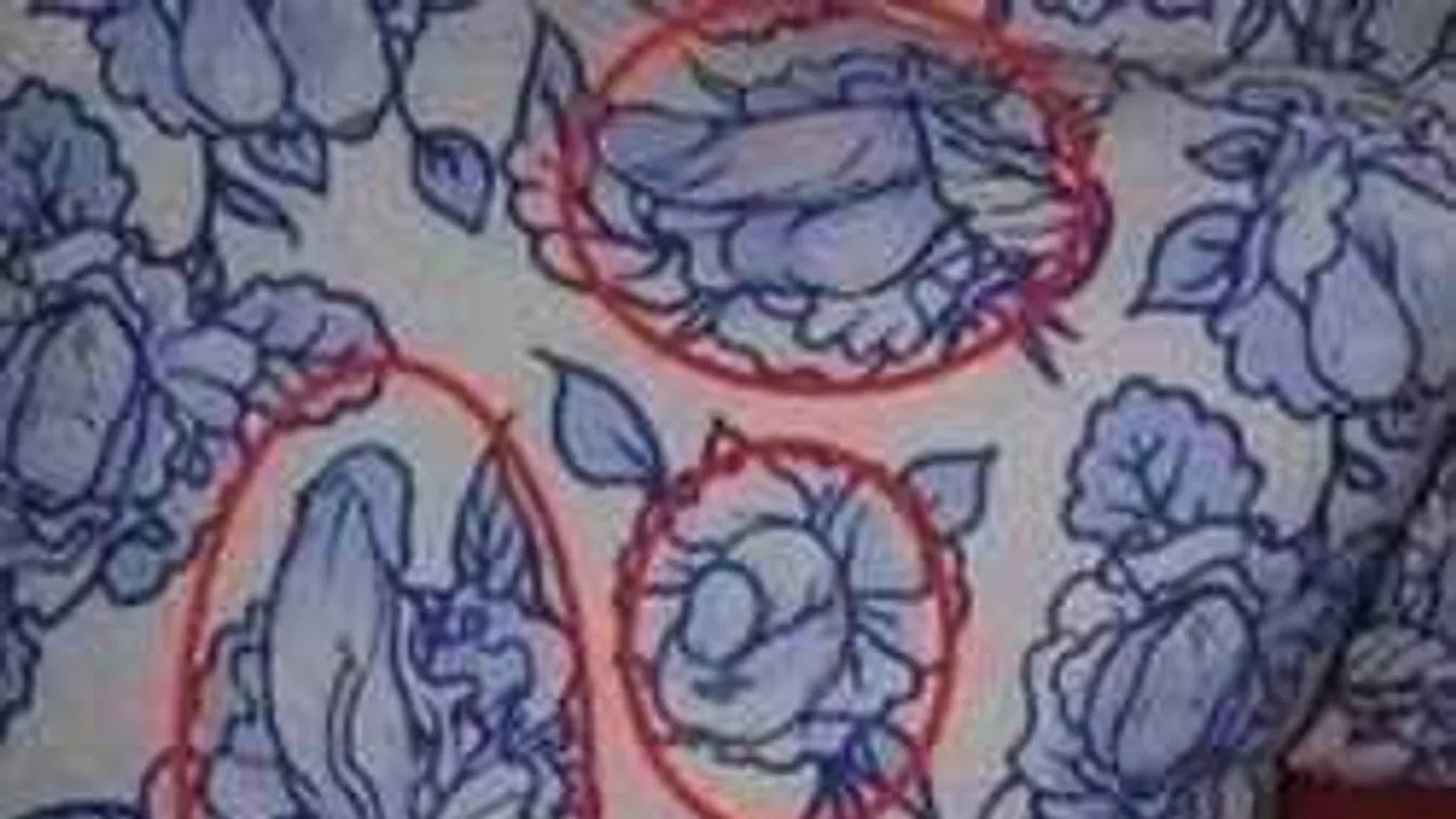 Ilyen korhatáros párnahuzatot még sose láttál, elvörösödött az anyuka