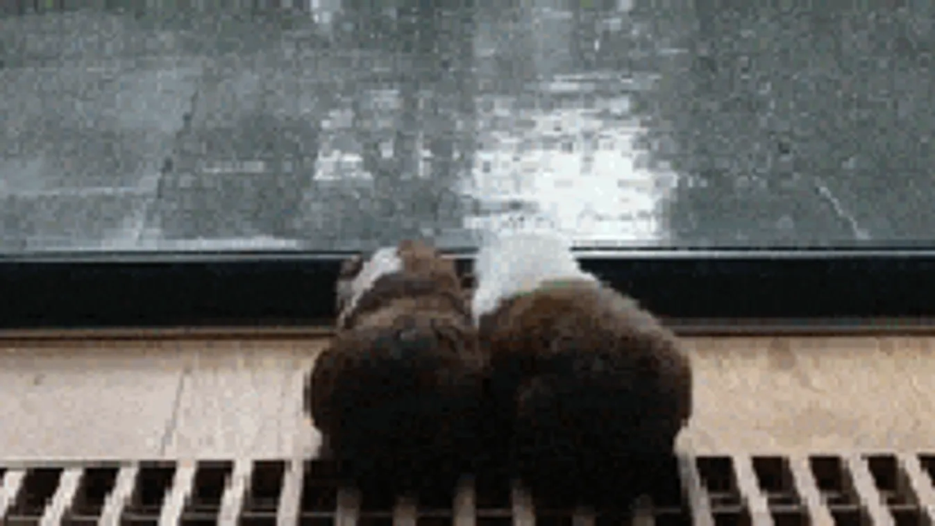 Most igazán próbára tesz az időjárás: vihar és havas eső is várható