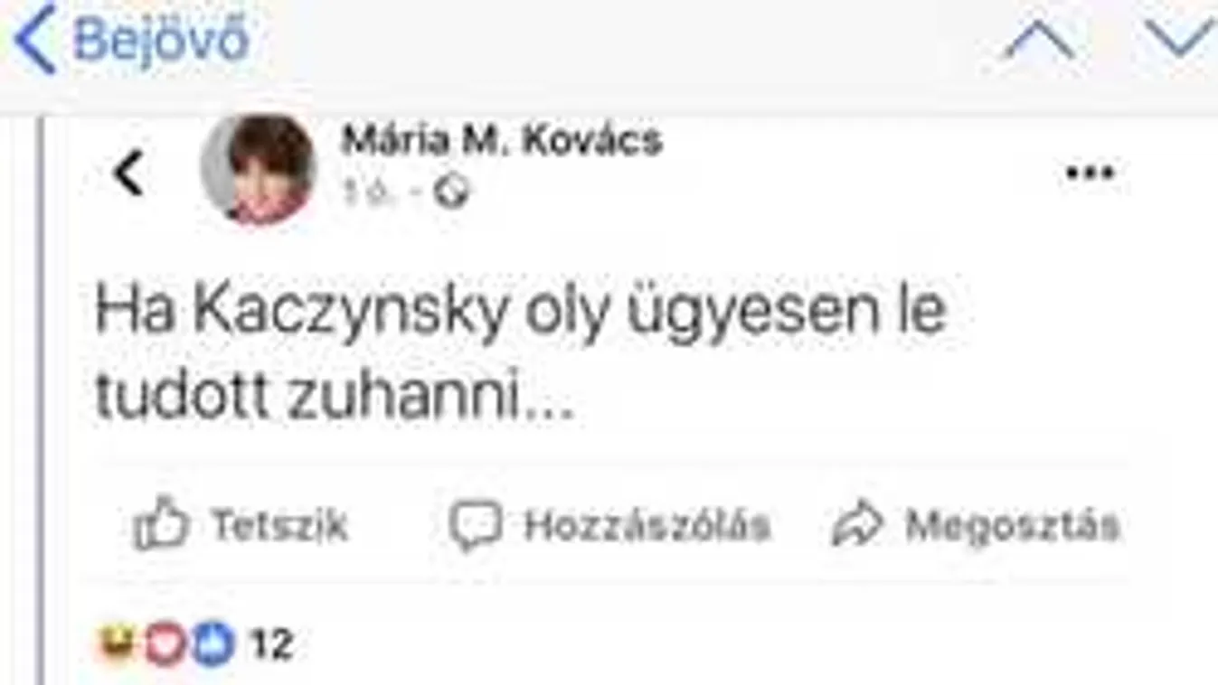 V4NA: Orbán Viktor halálát kívánja a CEU professzora