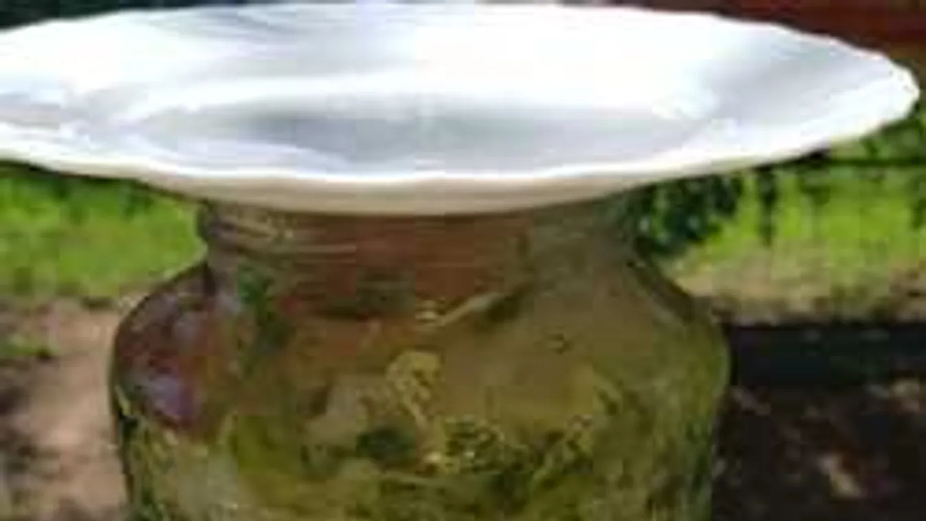 Amíg drága az uborka, így kovászolj: imádni fogod a trükköt