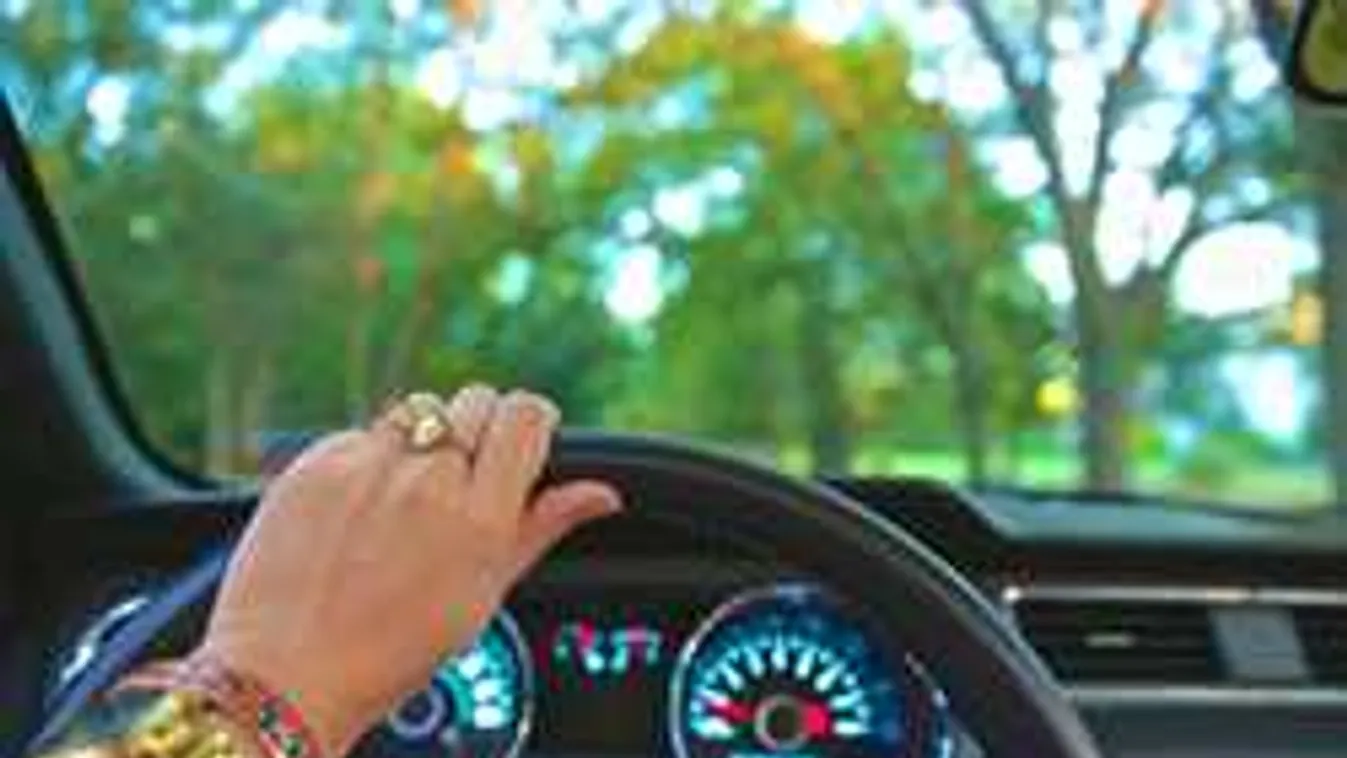 Utastér: Az autónak ezen a részén több a baktérium, mint a vécében