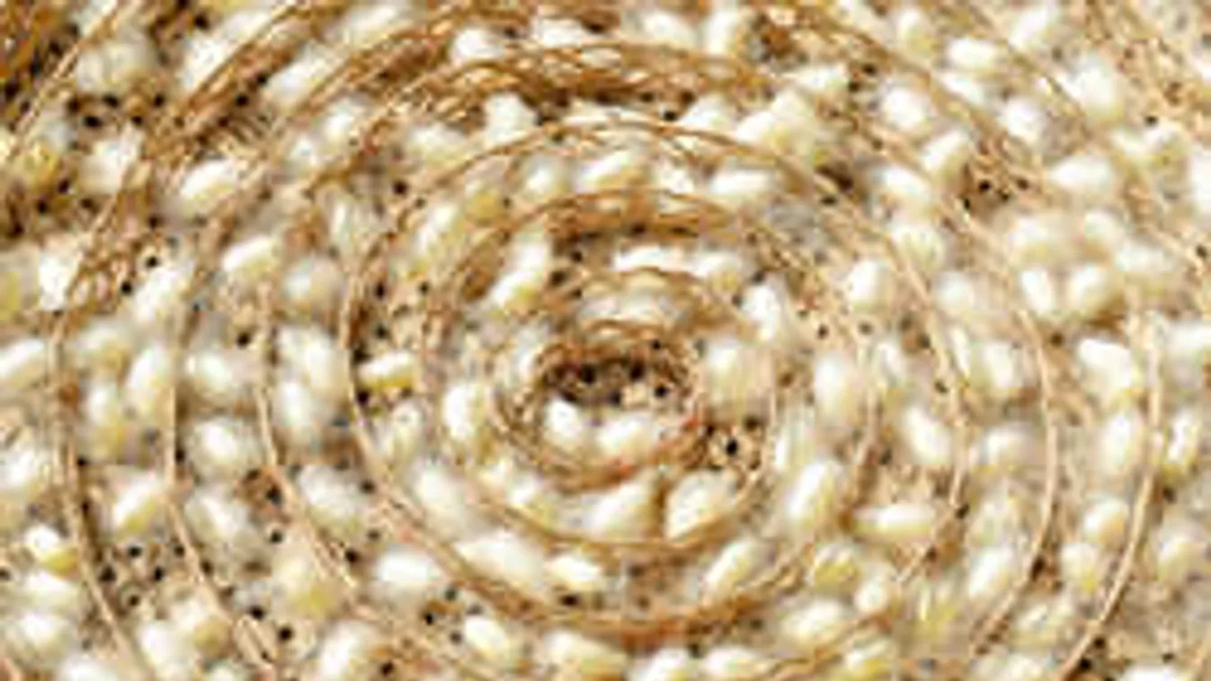 Így takaríts ki a lakásban, hogy végleg elűzd a molyokat