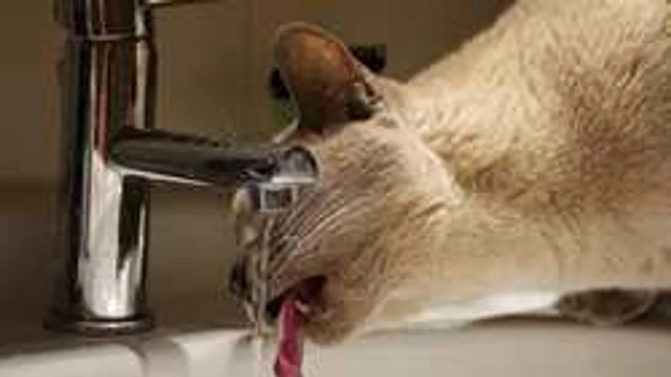 Nálatok is ólmos a csapvíz? Itt vizsgáltathatod be!