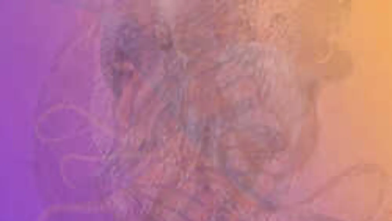 Elképesztő ez a személyiségteszt: leleplezi személyiséged minden rejtekét