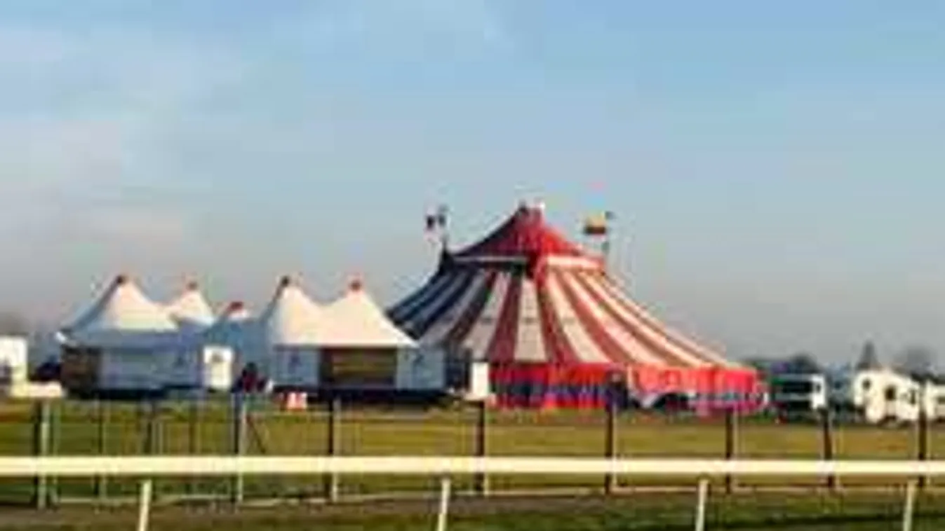 Szörnyű tragédia történt a cirkuszban, sokkot kaptak a gyerekek
