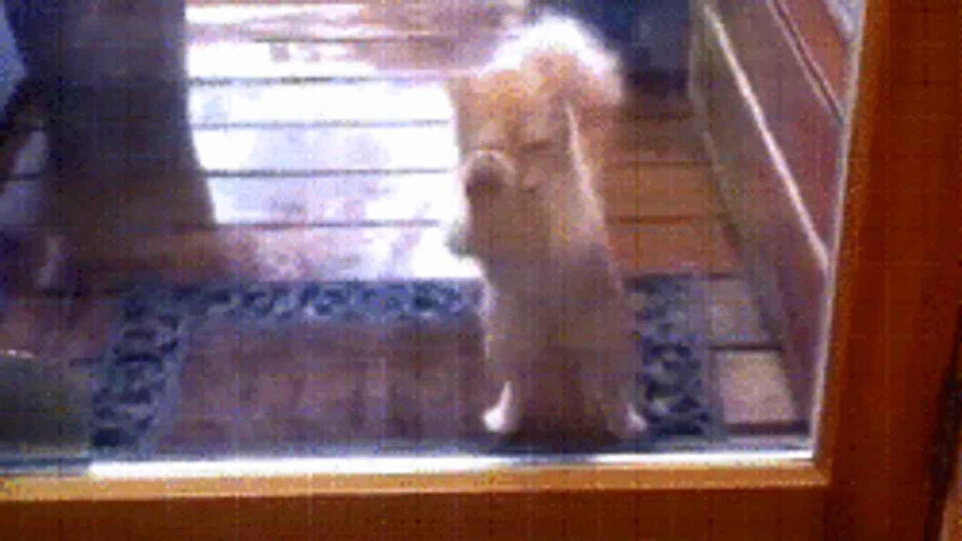 Változékony időjárás jön, ekkor lélegezhetünk fel egy kicsit