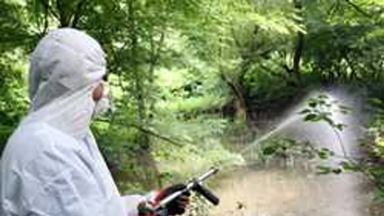 Már készülnek a nyárra a szakemberek, hatalmas irtásokba kezdenek