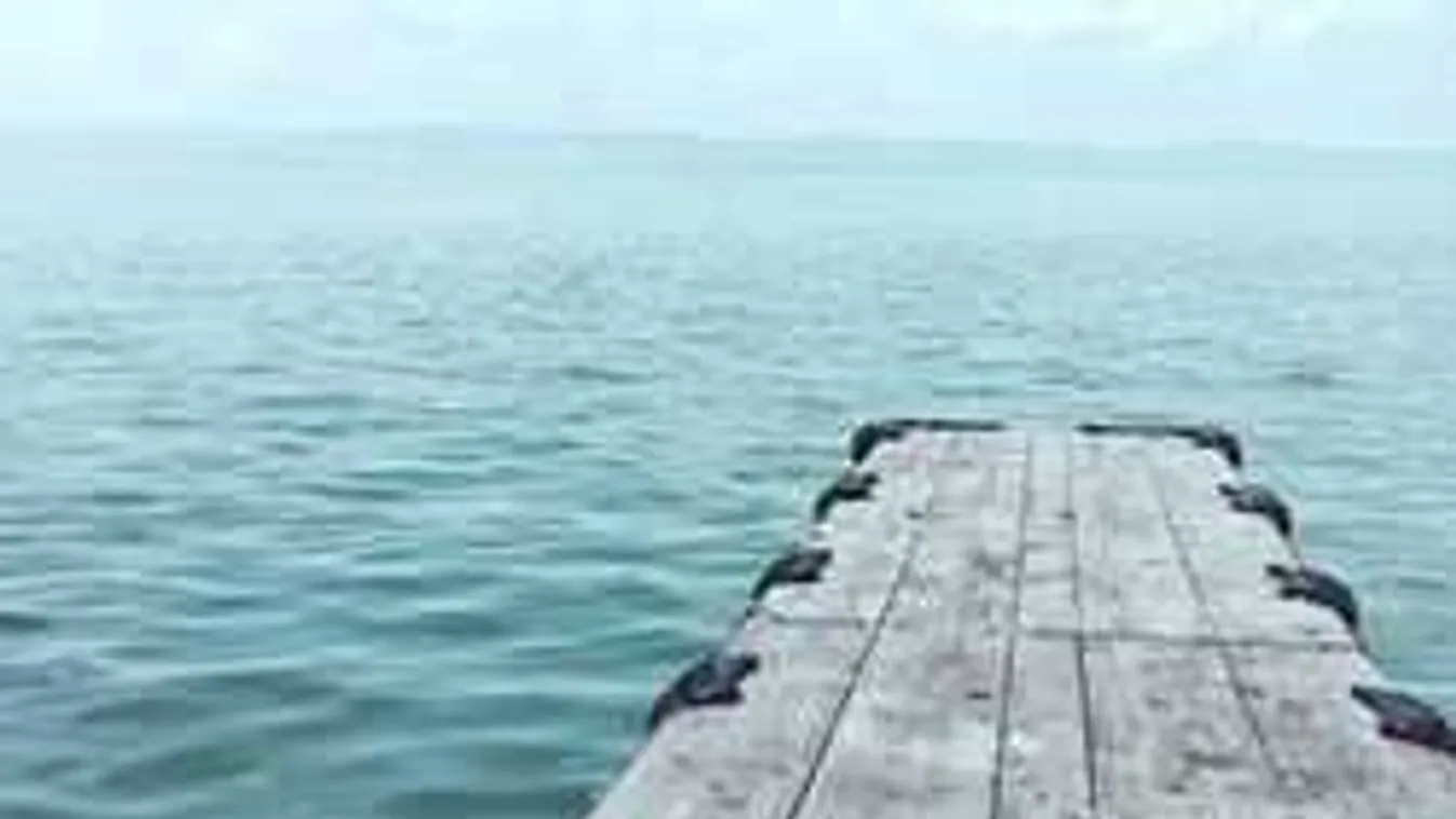 Hatalmas fogás: rekordméretű halszörnyet fogtak ki a Balatonból - fotó