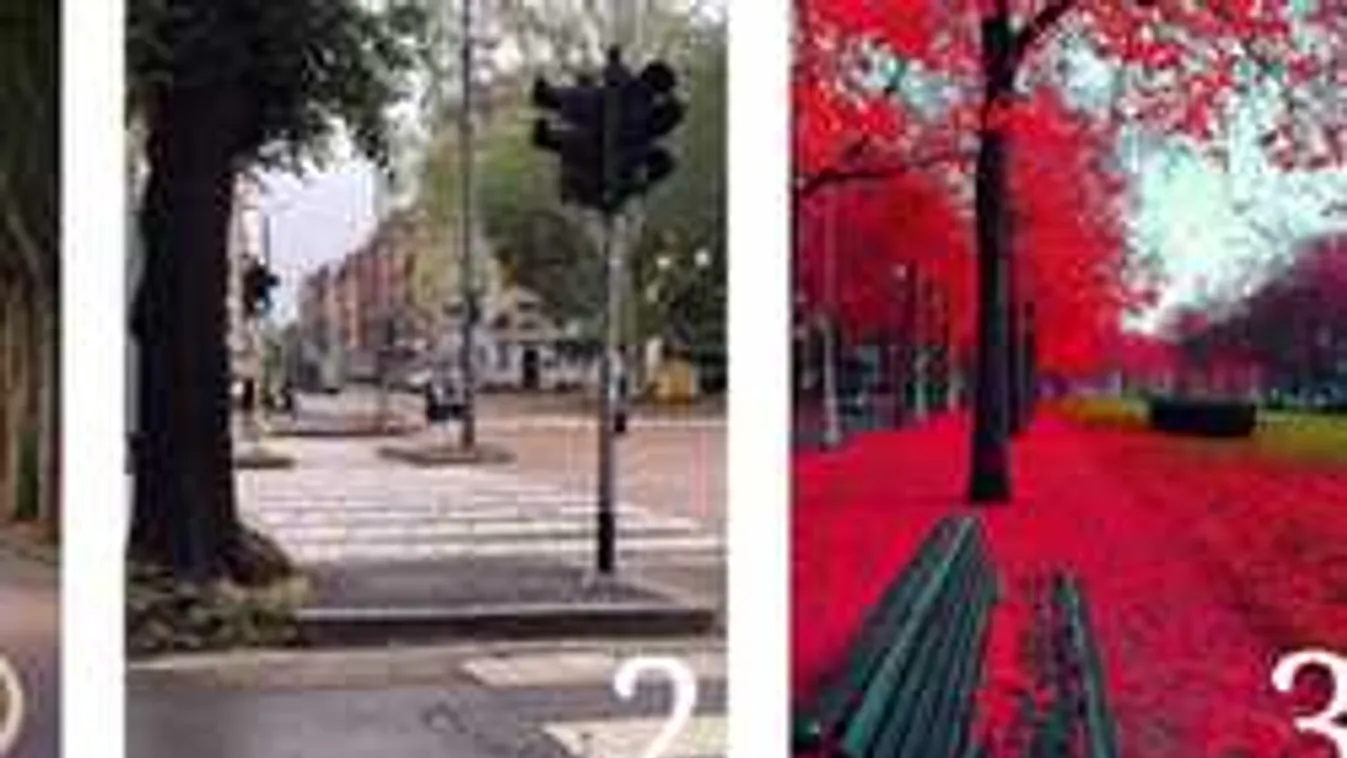 Melyik úton indulnál el - döbbenetesen őszinte személyiségteszt