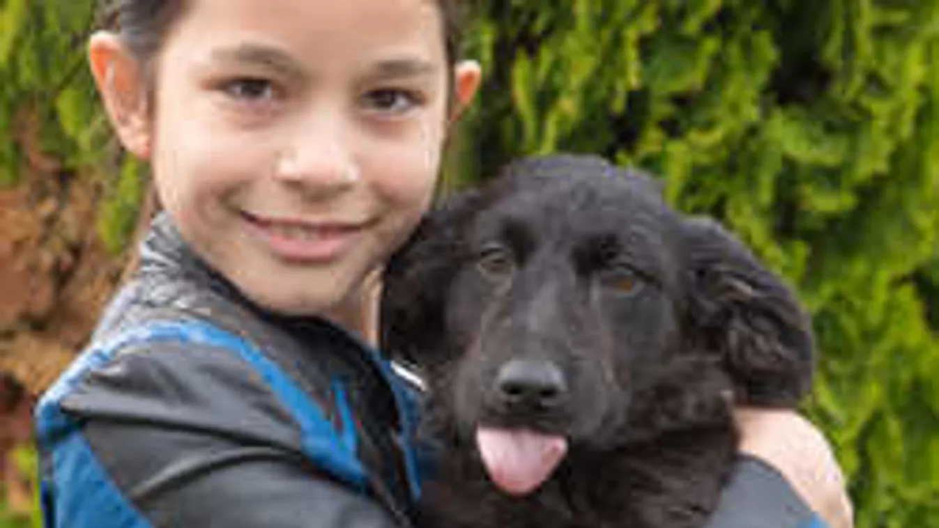 Az internet sztárja lett a kutyákat mentő magyar kislány
