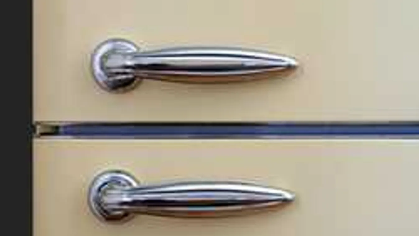 Fagyasztó rejtette a magyar nő holttestét Londonban