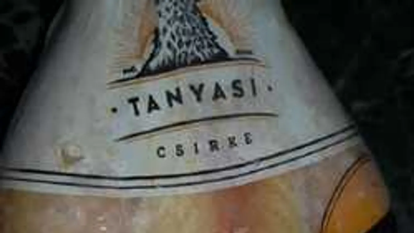 Teljes döbbenet: csirke miatt estek egymásnak a magyar háziasszonyok