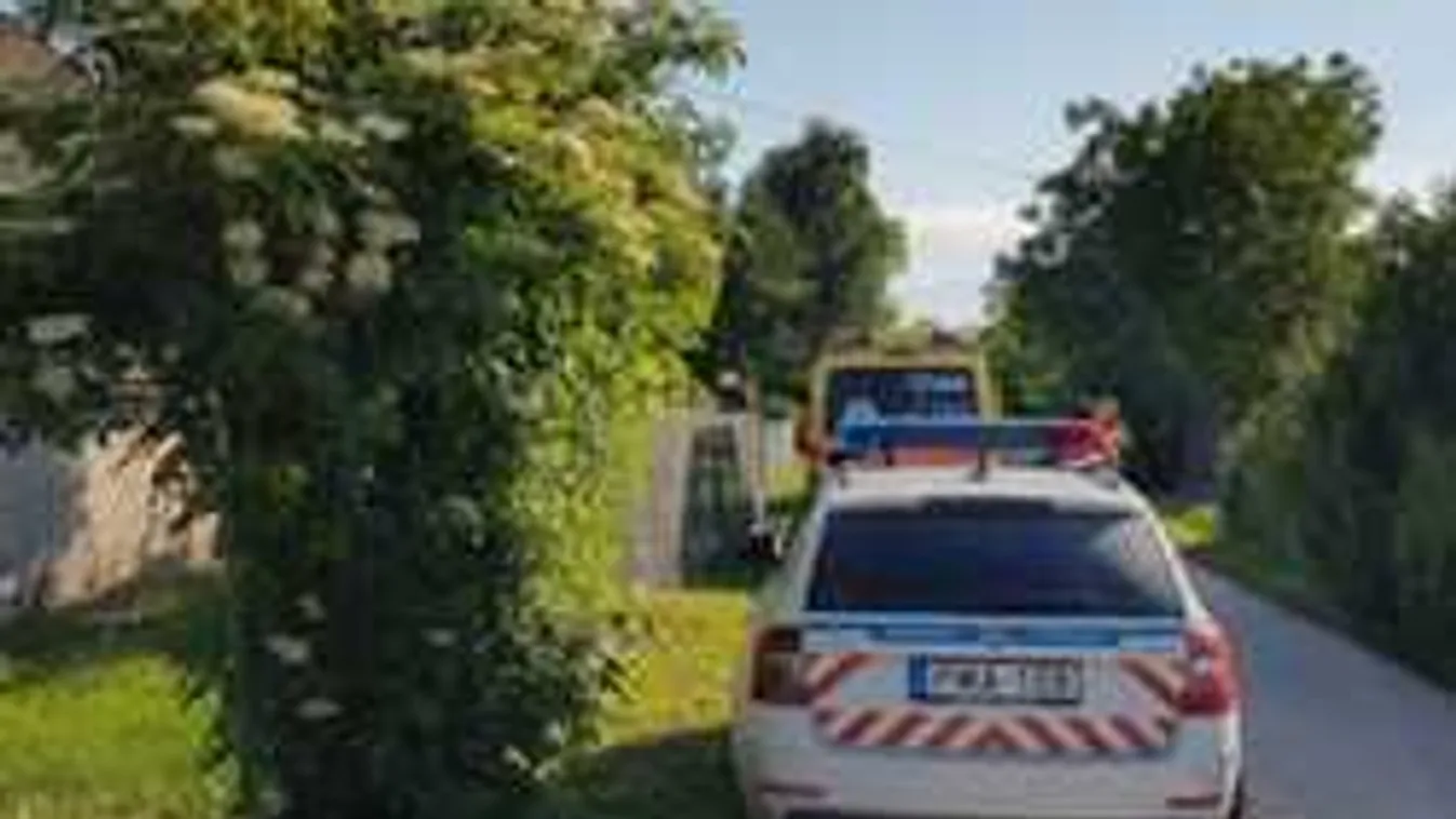 Betelefonált egy Fejér megyei nő pénteken a rendőrségre: megölte az anyósát