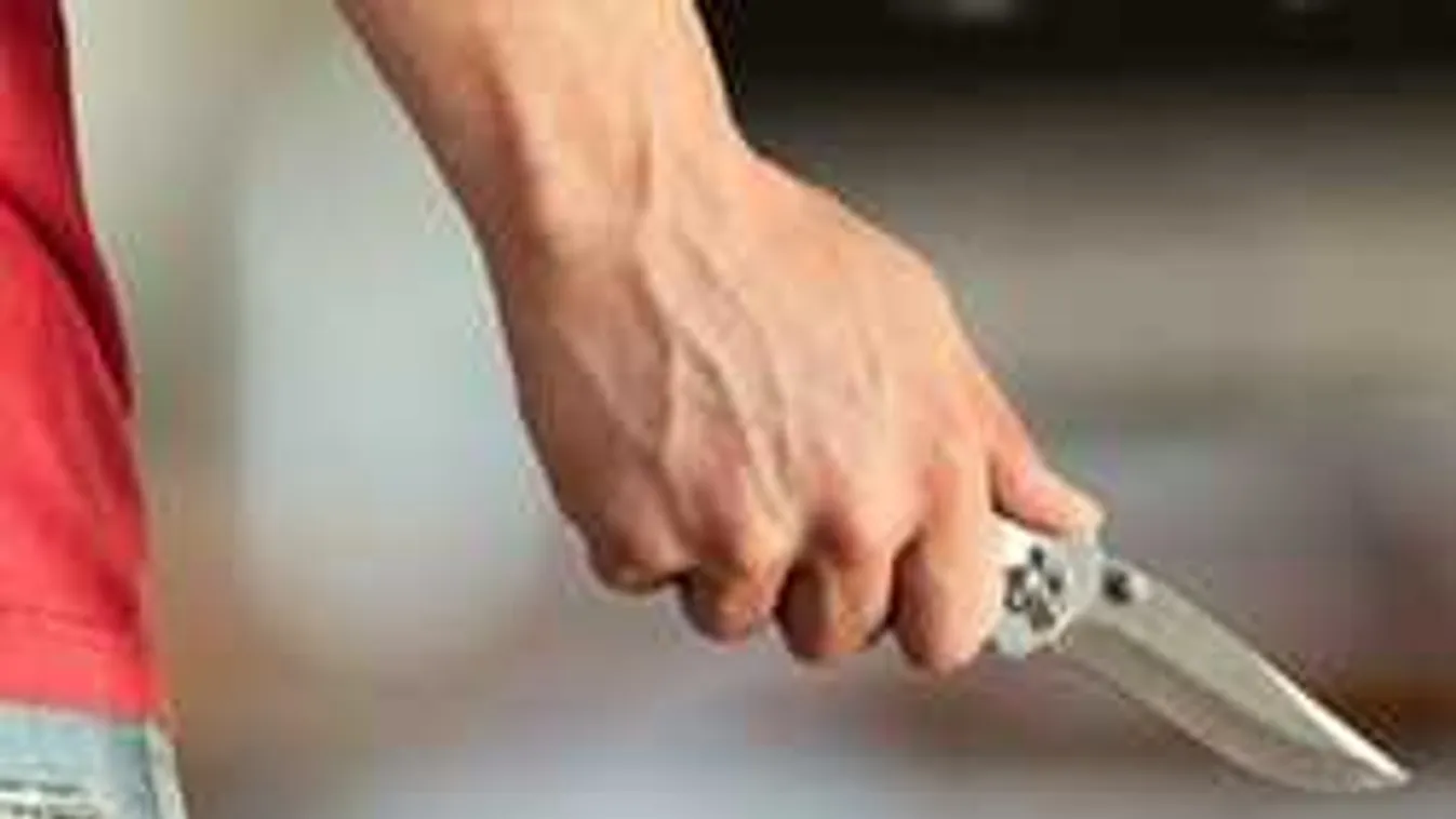 Bátor rendőr: Kőkeményen lefegyverezte a késes támadót - Videó