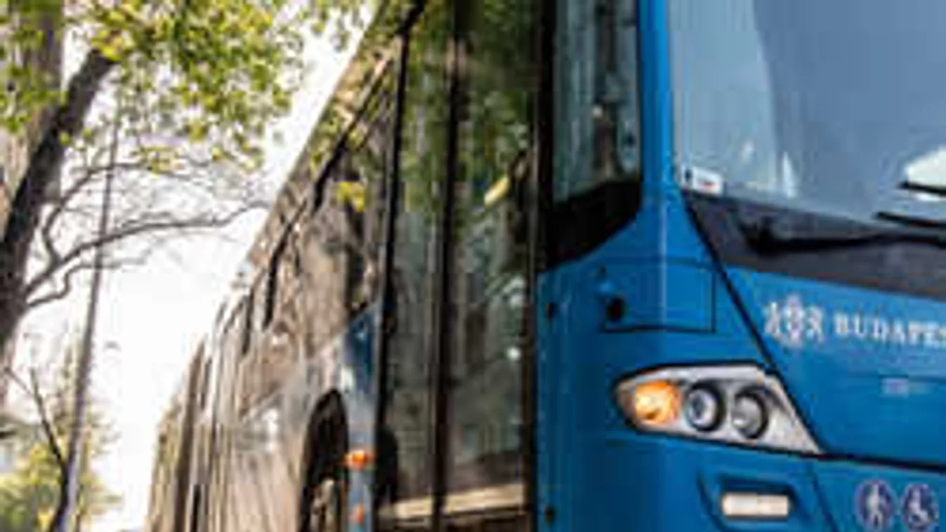 Gyomorforgató dolgot találtak az egyik fővárosi buszon - fotó