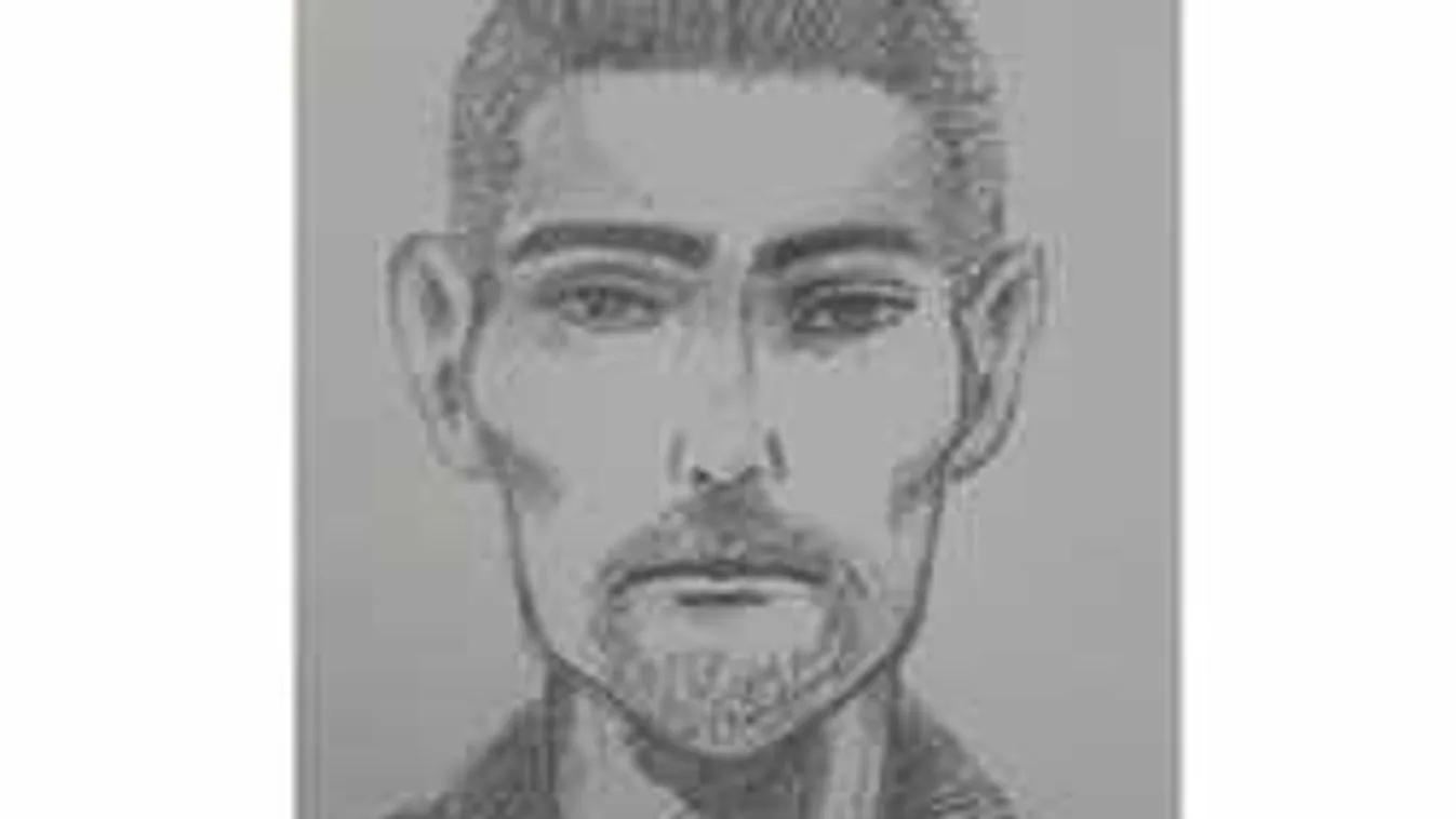 Aljas, amit két férfi és egy nő művelt Budapesten, egy bokornál