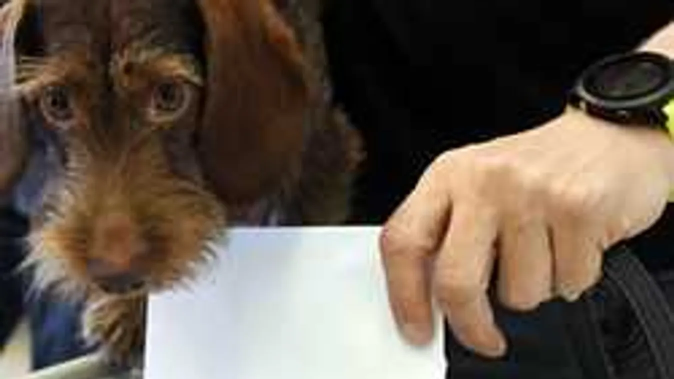 Nyitnak a szavazóhelyiségek: az első szavazó jelenlétében zárják le az urnát