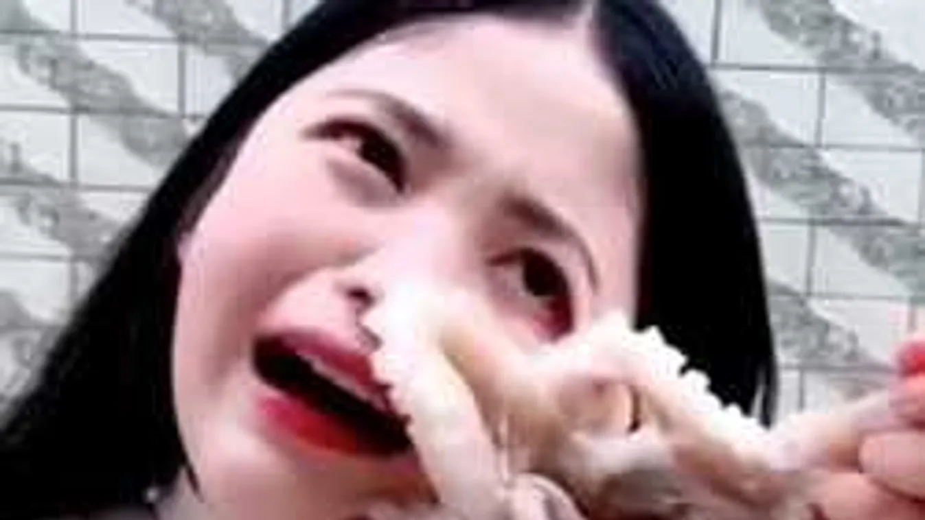 Élő polipot akart enni az ázsiai kislány, durva, ami ezután történt