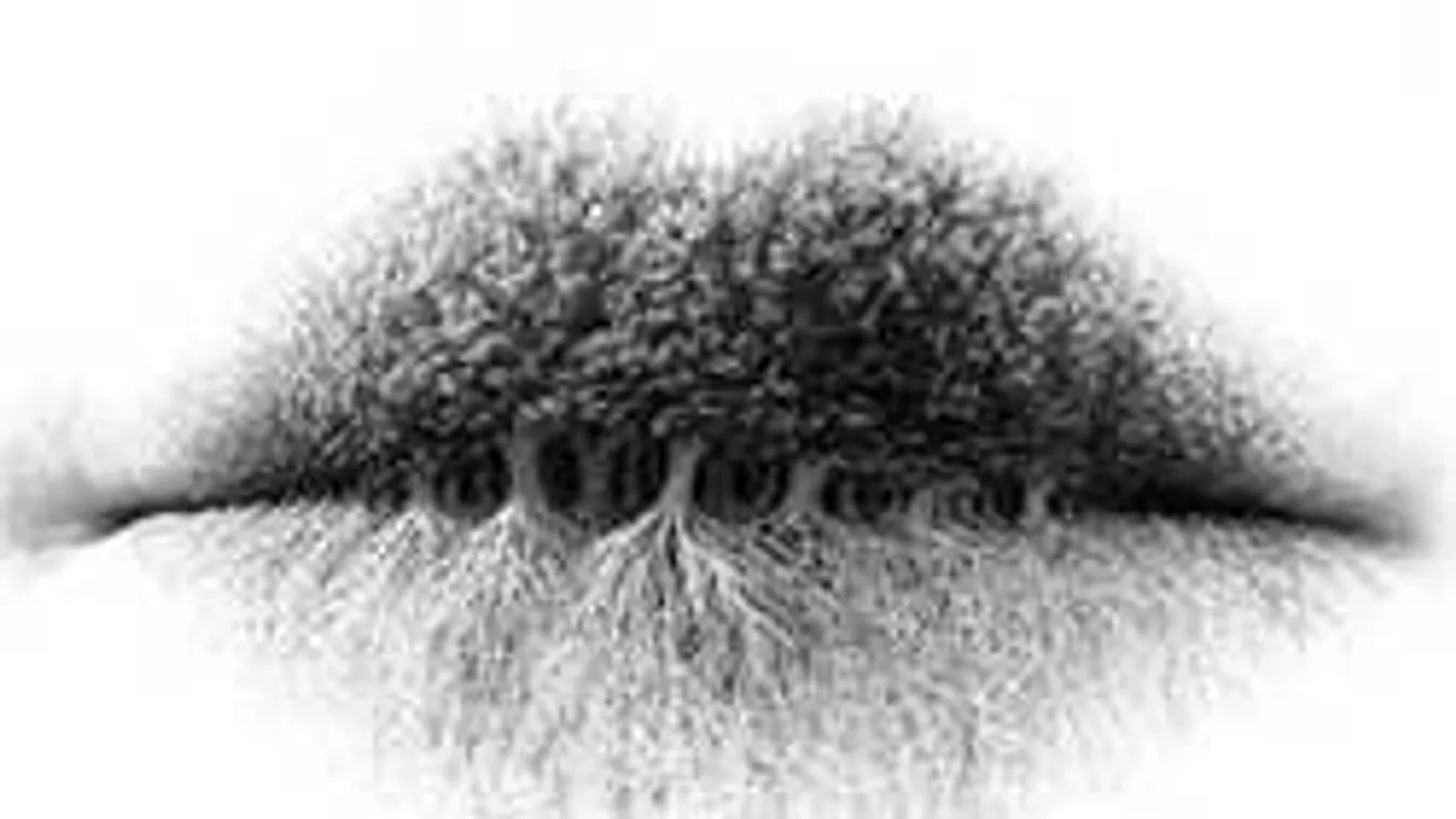 Mit látsz meg először a képen - meglepő titkot árul el rólad