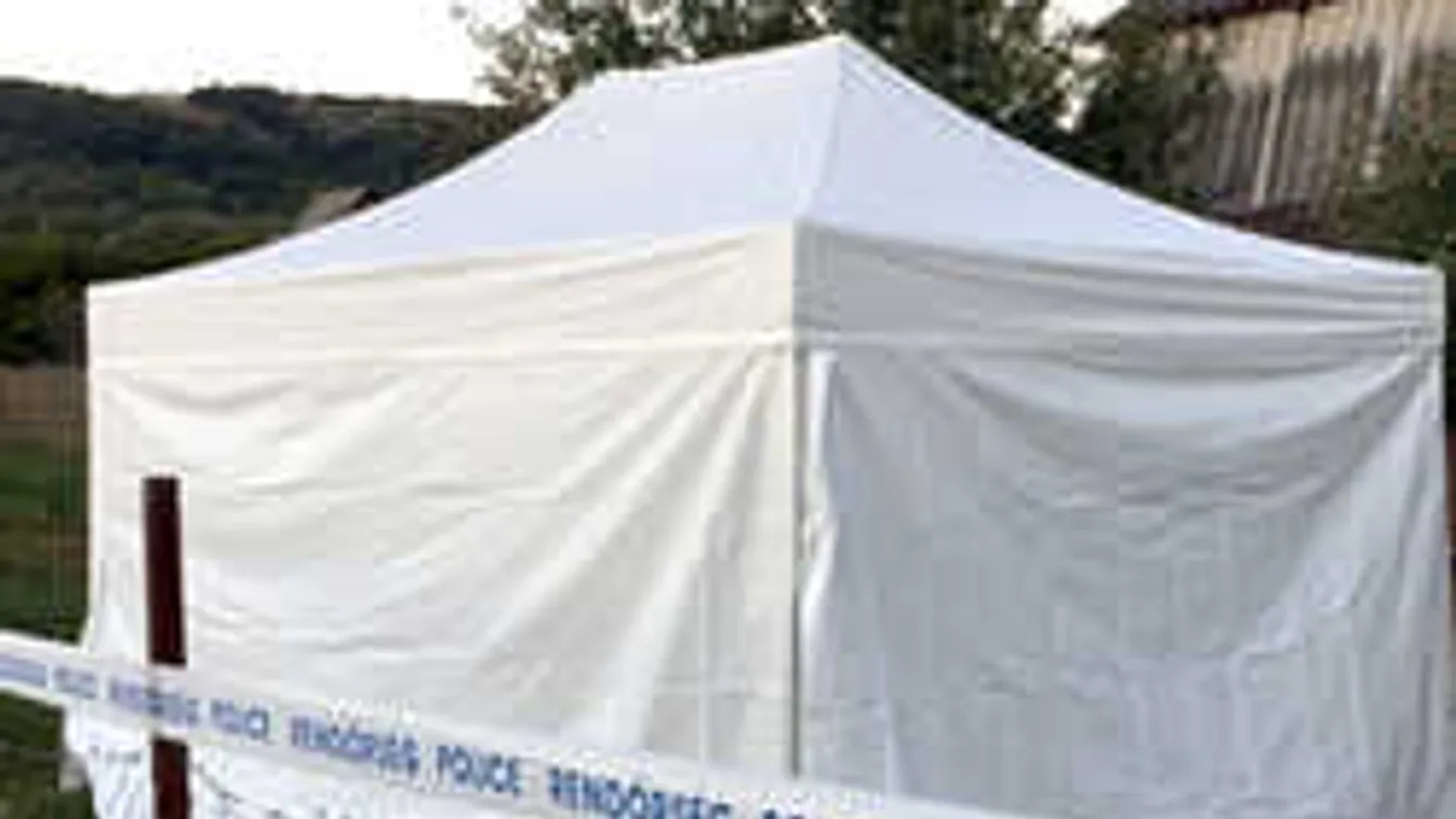 Sorsdöntő fordulat a várpalotai kettős gyilkosság ügyében