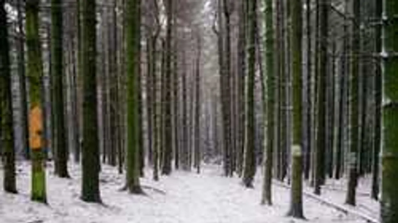 Megáll az ész: Elolvadt a hó a hegyekben, meglett egy lopott Audi