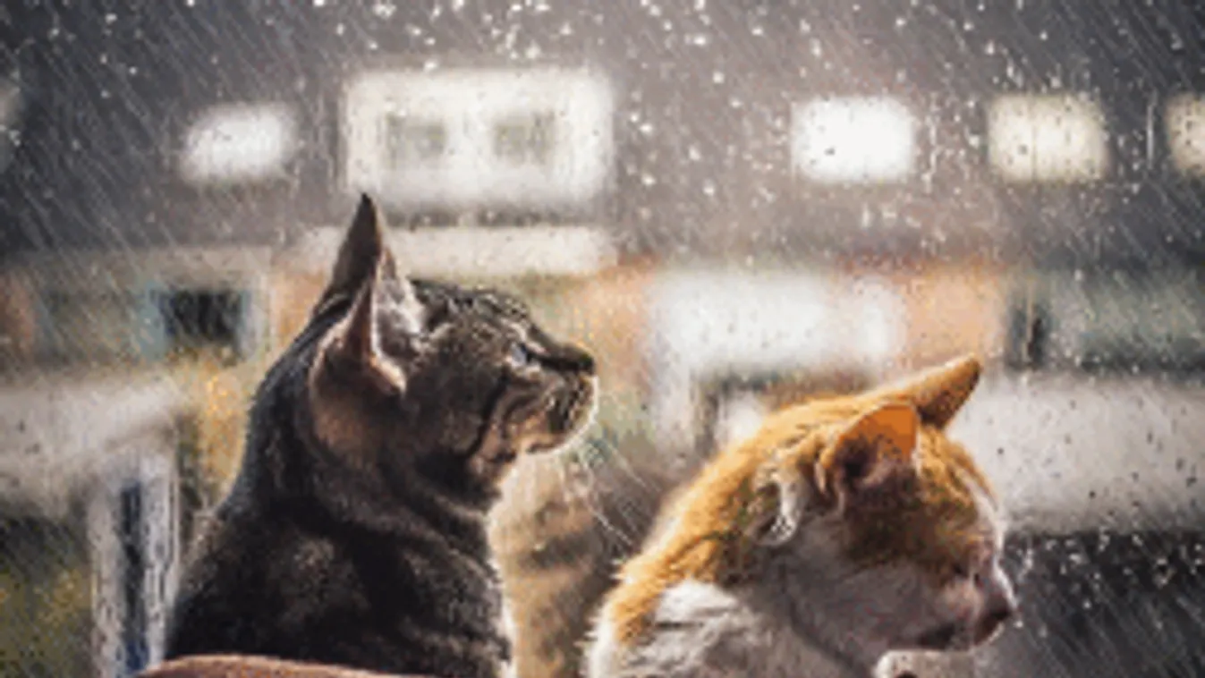 Nincsenek jó híreink, ezt tartogatja még az időjárás a héten