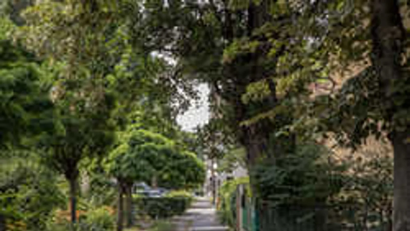 Nőnek öltözött férfi támadja meg a lányokat a pesti Wekerlén