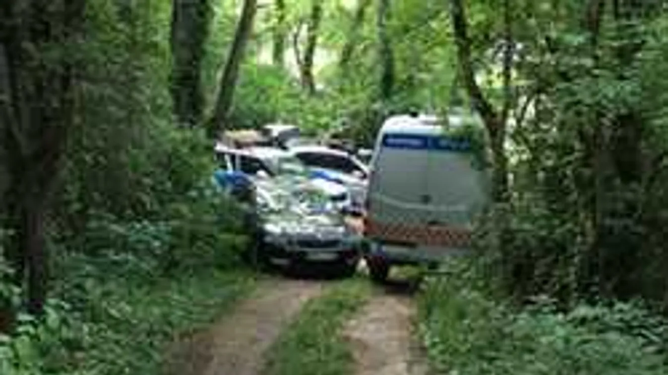 Véres dráma, saját élete árán védte meg anyját a hős biatorbágyi lány