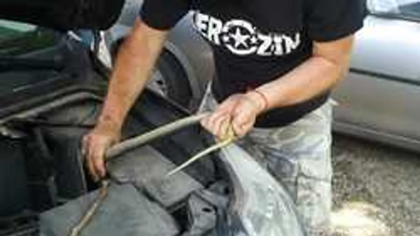 Szörnyű, mik másztak ki menet közben egy magyar férfi autójából - Fotó