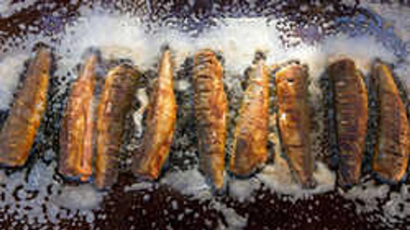 Tuti, hogy eddig tévedésben éltél: valójában ez a hekk