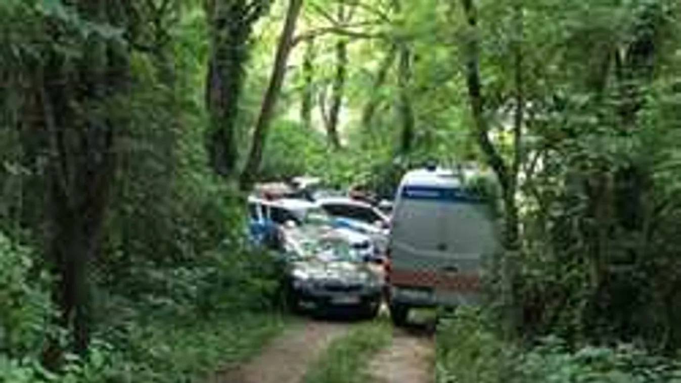 Elmegyógyintézetbe került a testvérgyilkos biatorbágyi fiú