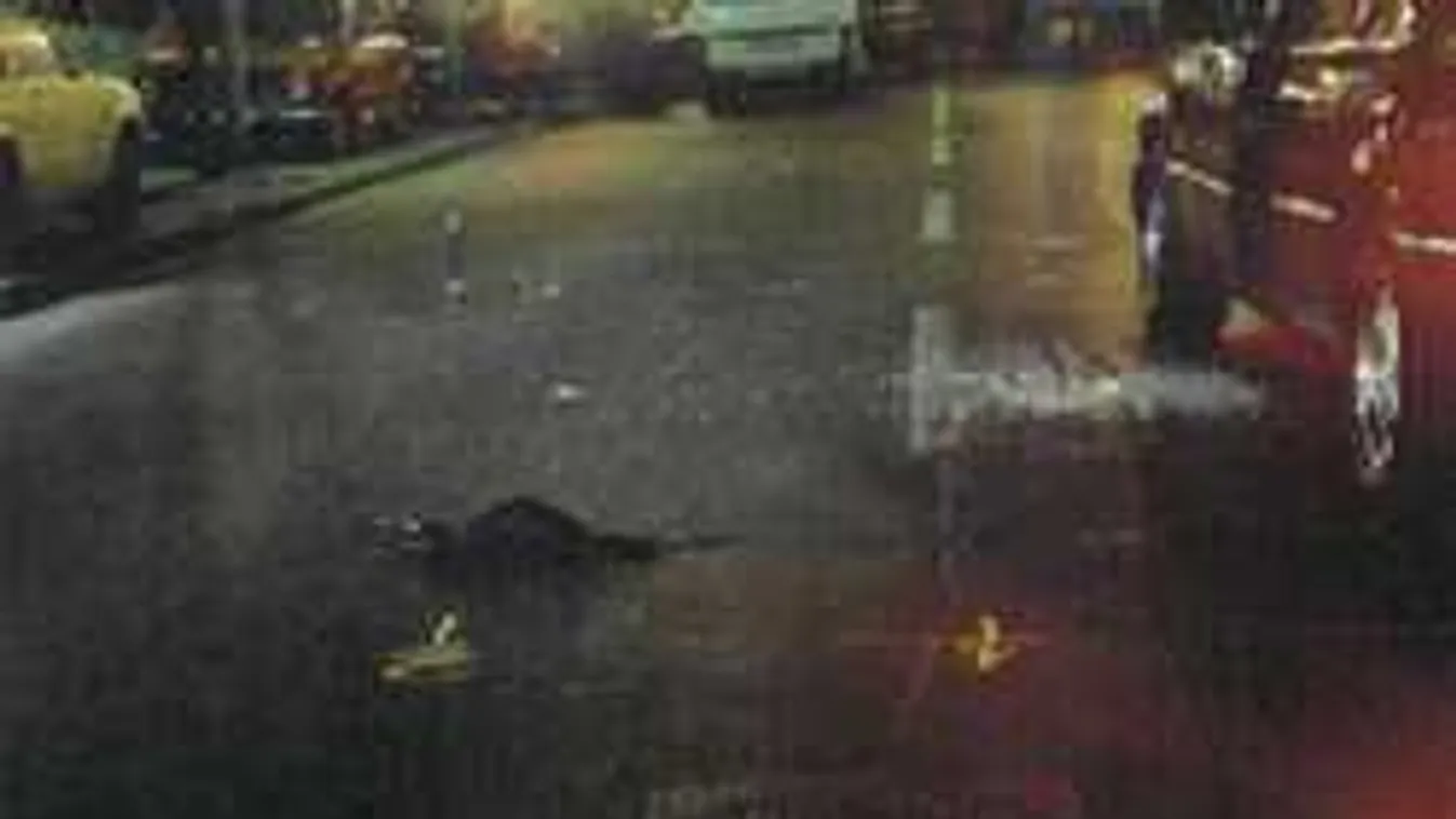 Most közölte a rendőrség: 22 év után lezárult a Fenyő-ügy vizsgálata