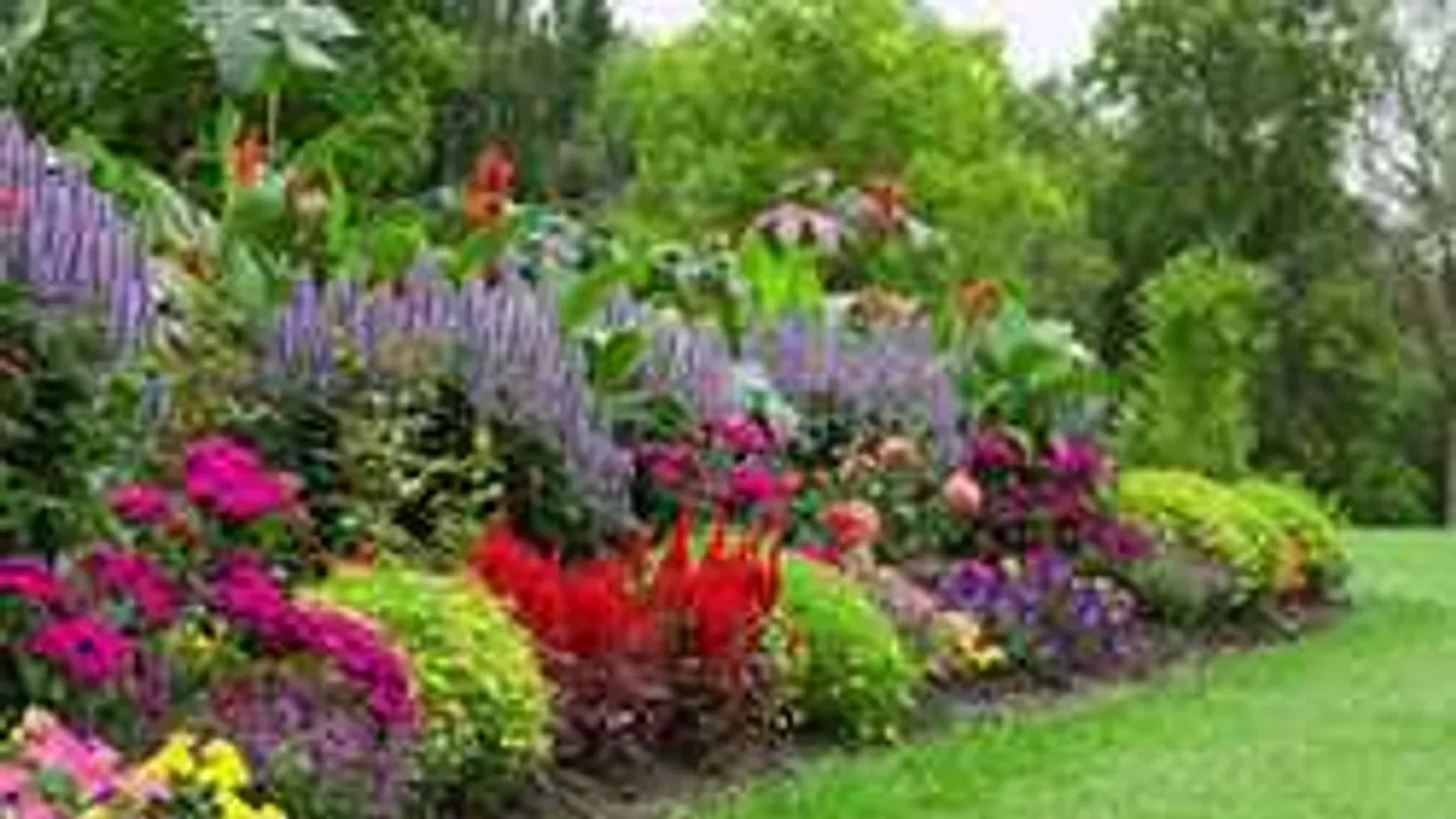 Szórj tojáshéjat a kertedbe, és megtörténik a csoda