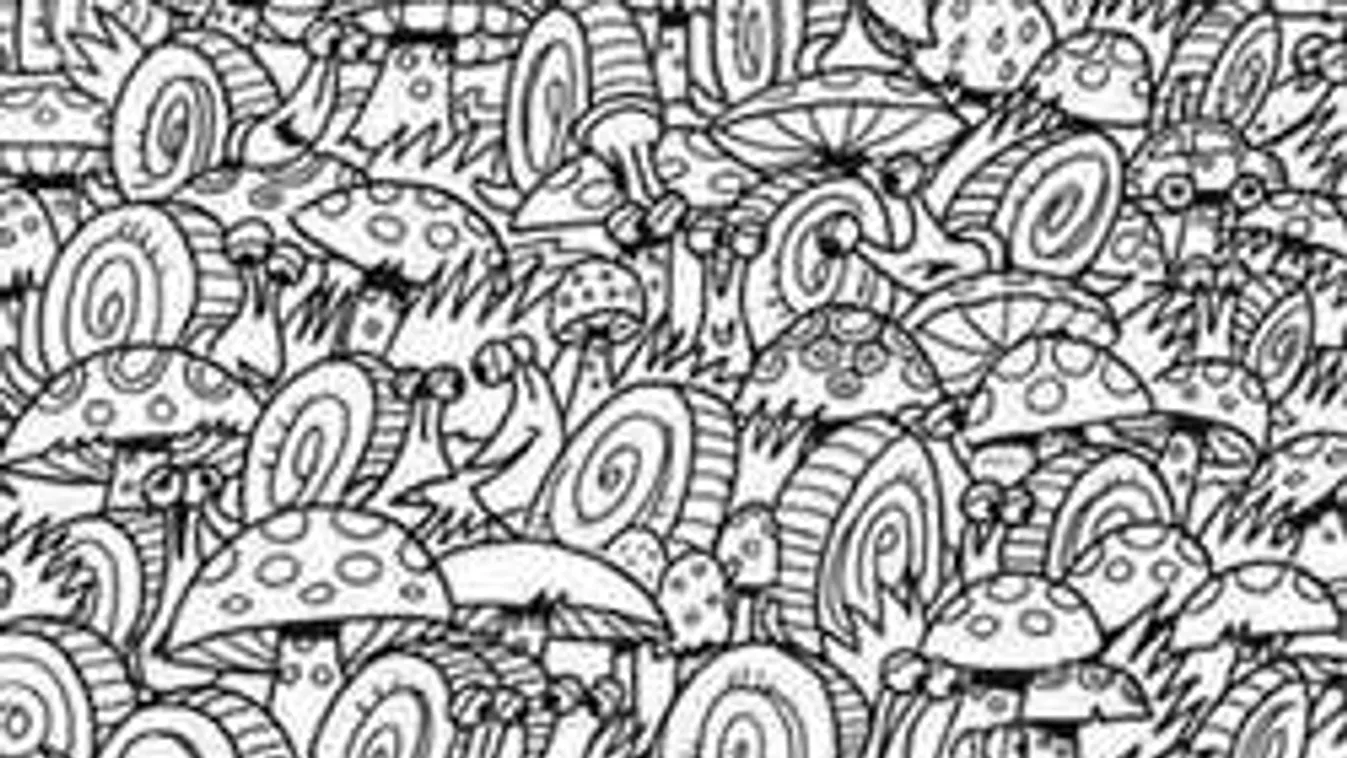 Íme, a hét rejtvénye: Te megtalálod az autót a képen?