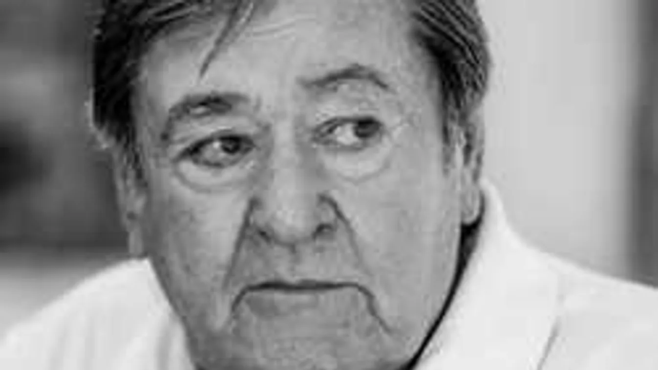 195 millióért árulja a házát Koós János özvegye