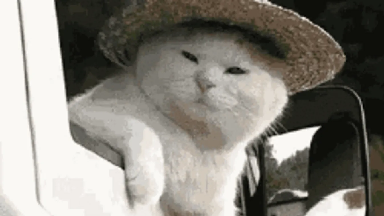 Durva szélviharral keményít be az idő, de nem ez lesz a legrosszabb