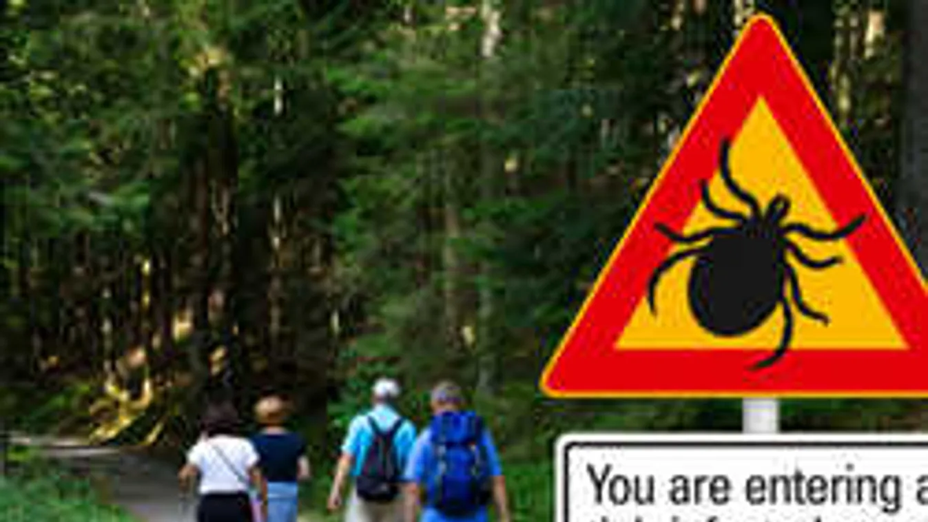 Ezt a kullancsirtót készítsd el otthon, így védekezz a súlyos kór ellen