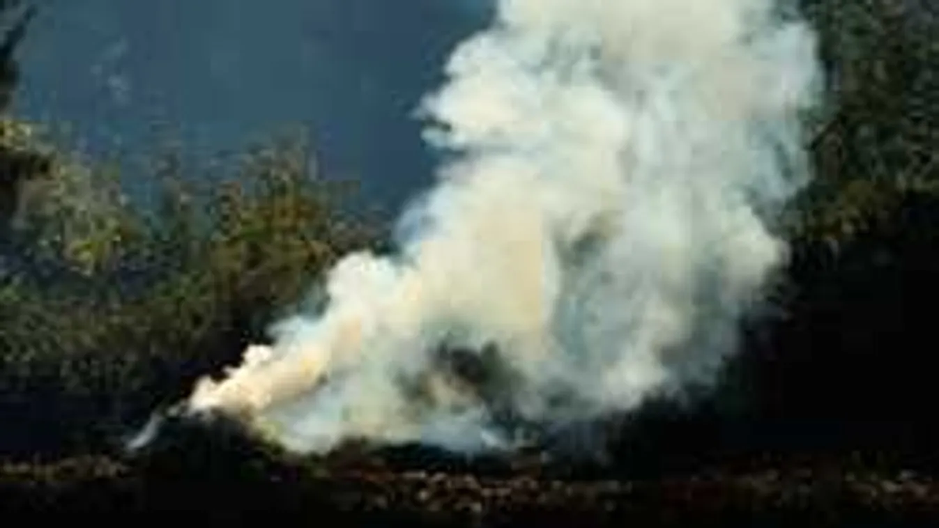 Mit lehet tenni, ha folyton hulladékot éget kertjében a szomszéd?