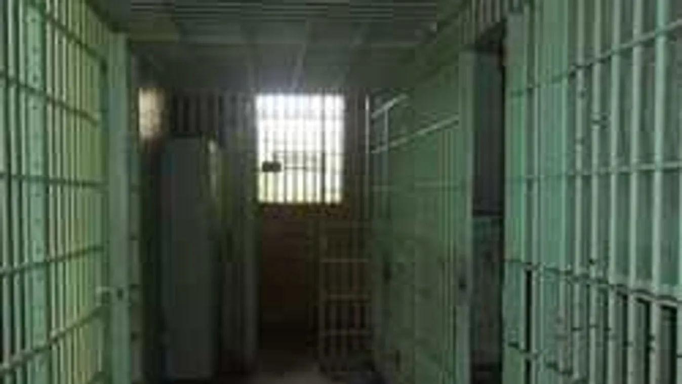 Megvan a pontos dátum: ekkor engedik ki az olaszliszkai lincselőt