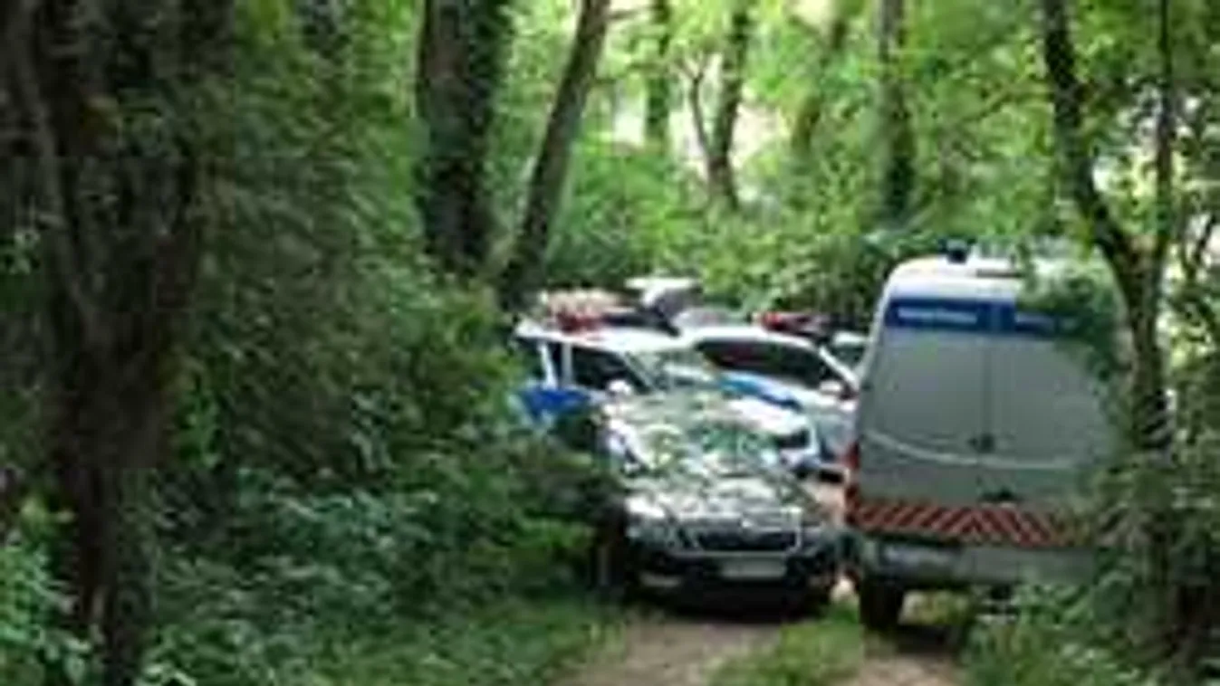 Szörnyű dolog derült ki a biatorbágyi testvérgyilkosról