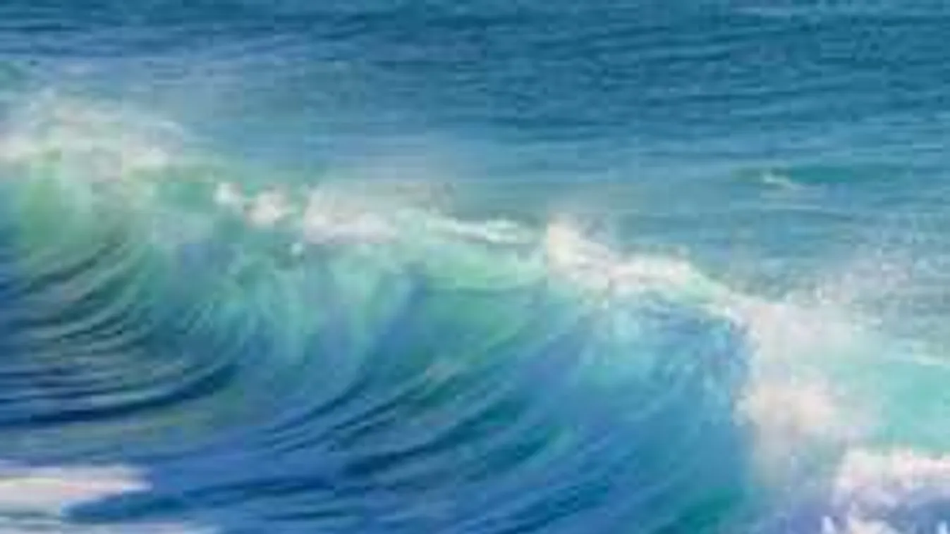 Óriáshal akadt a férfi horgára, de csak ezután jött a teljes sokk