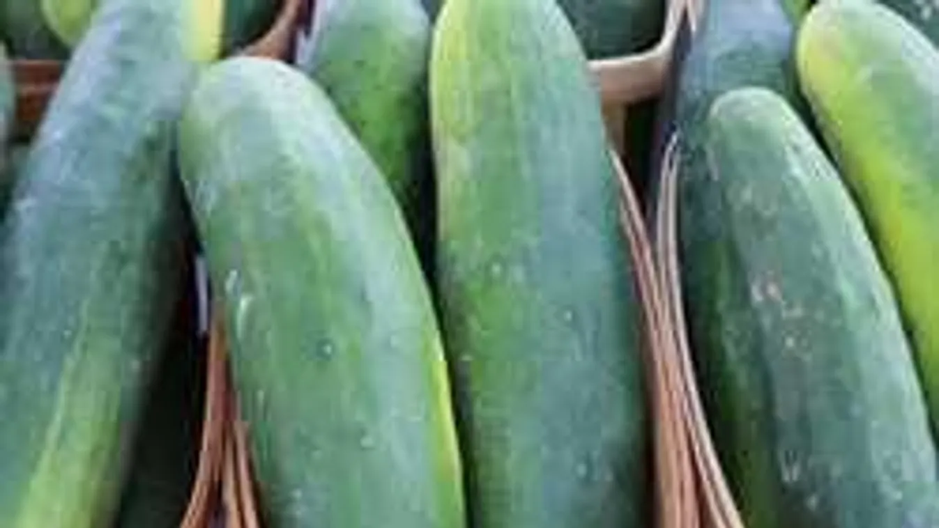 Emiatt lesz ehetetlenül keserű az uborka, erre érdemes figyelni