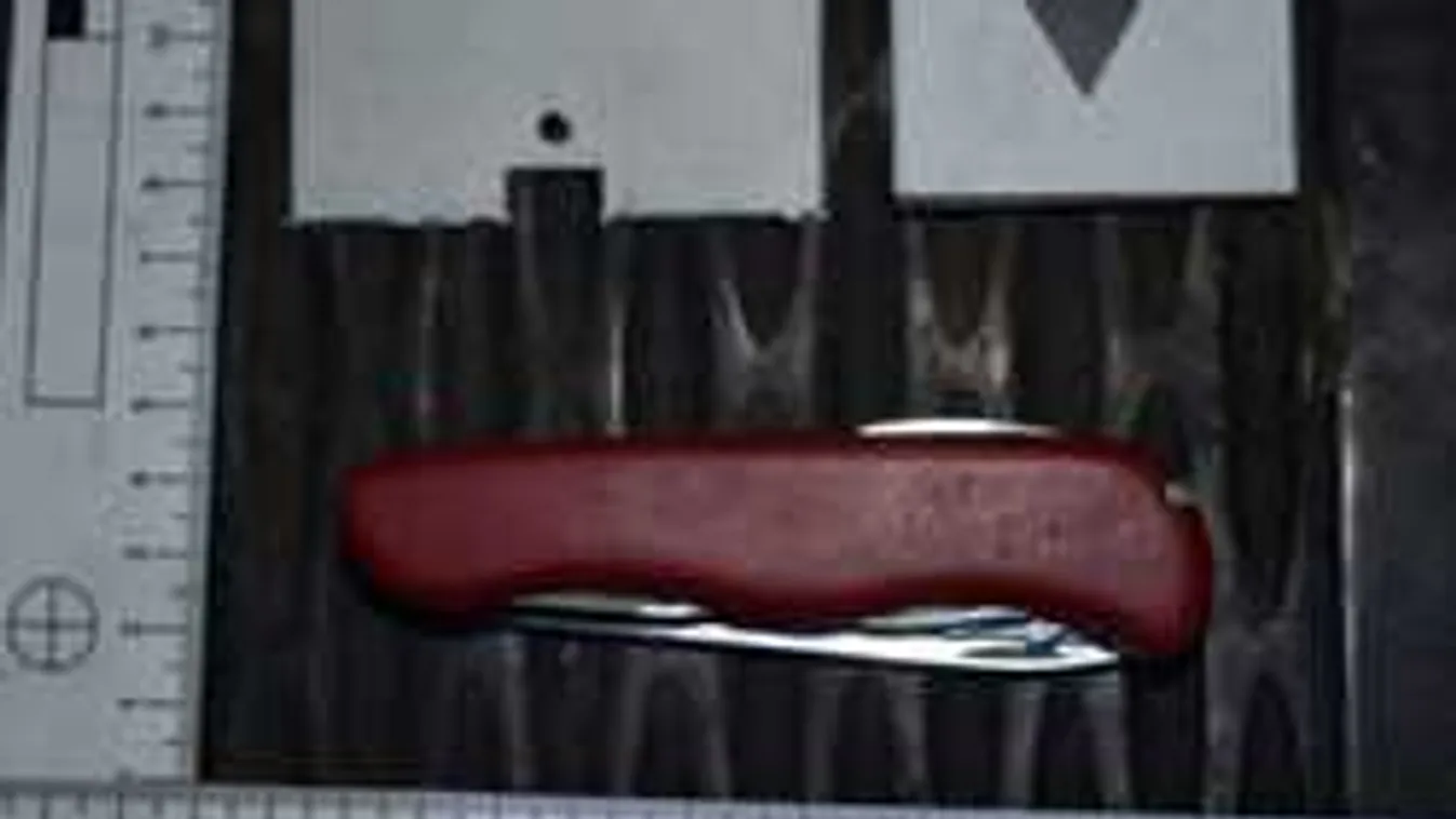 Dráma a hegyeshalmi üzemnél: kést szúrtak egy férfi hasába